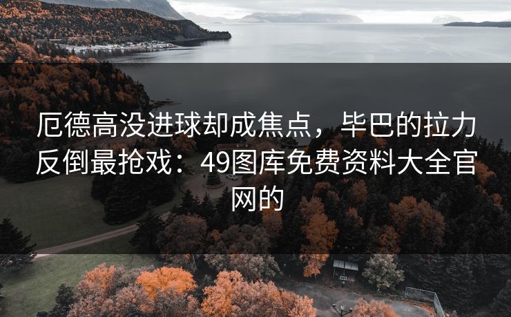 厄德高没进球却成焦点，毕巴的拉力反倒最抢戏：49图库免费资料大全官网的