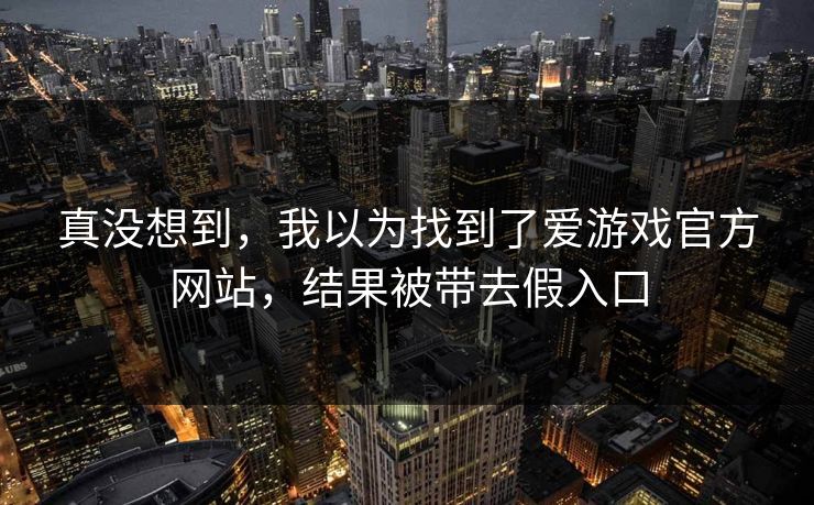 真没想到，我以为找到了爱游戏官方网站，结果被带去假入口